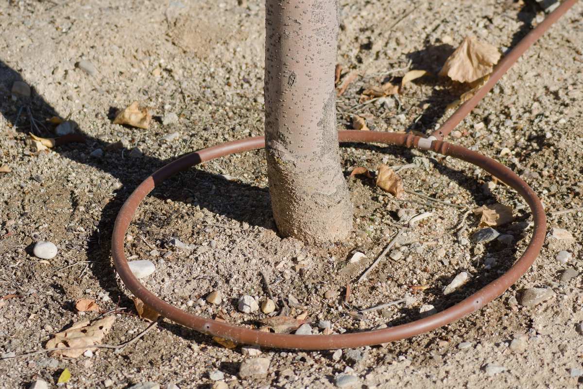 Hệ thống Tưới Nhỏ Giọt thông minh, tự động thời 4.0 VietKen